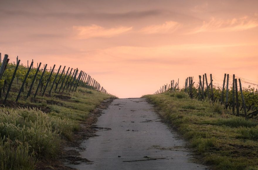 The Path to Peak Potential: Embrace the Fitness Journey and Unleash Your Inner Power