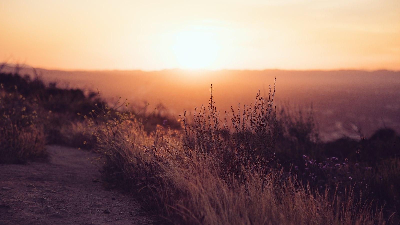 Nature's Playground: Exploring⁢ the Enchanting Wilderness with Exciting Outdoor Activities!