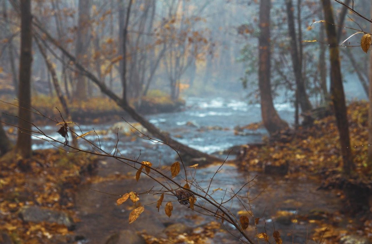 Unleashing the Magic of the Great Outdoors: Exploring Nature’s Wonders