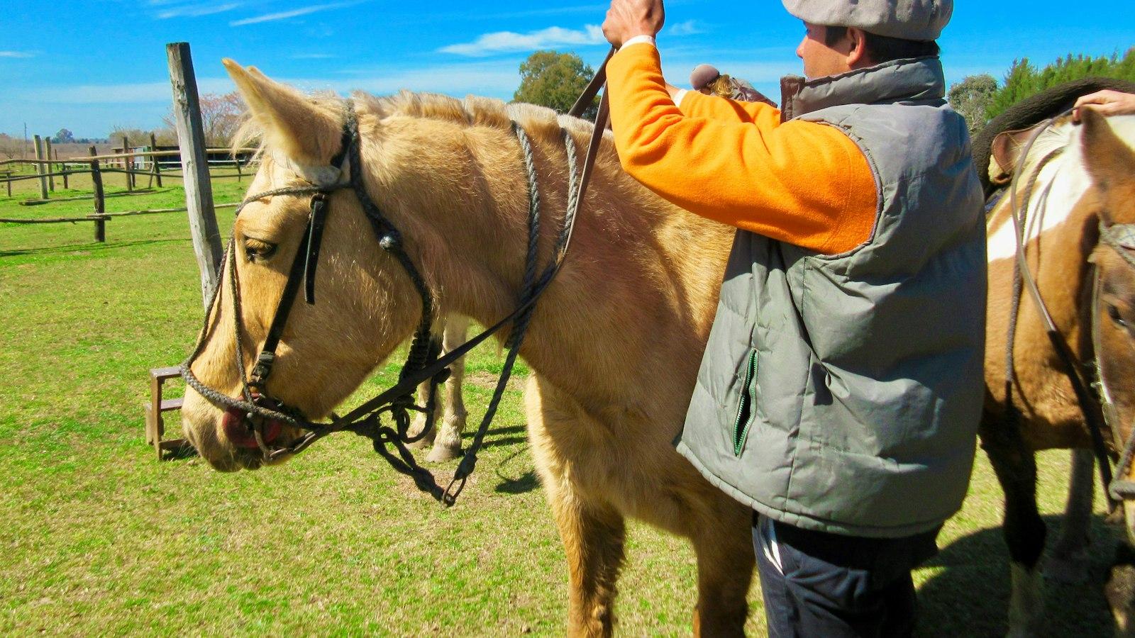 Embarking⁢ on an All-Encompassing Journey to Holistic Well-being