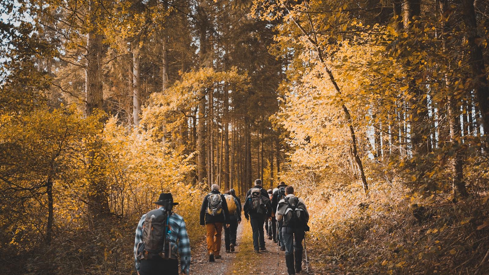 Discovering the Benefits of Hiking for Physical and ‌Mental Wellness