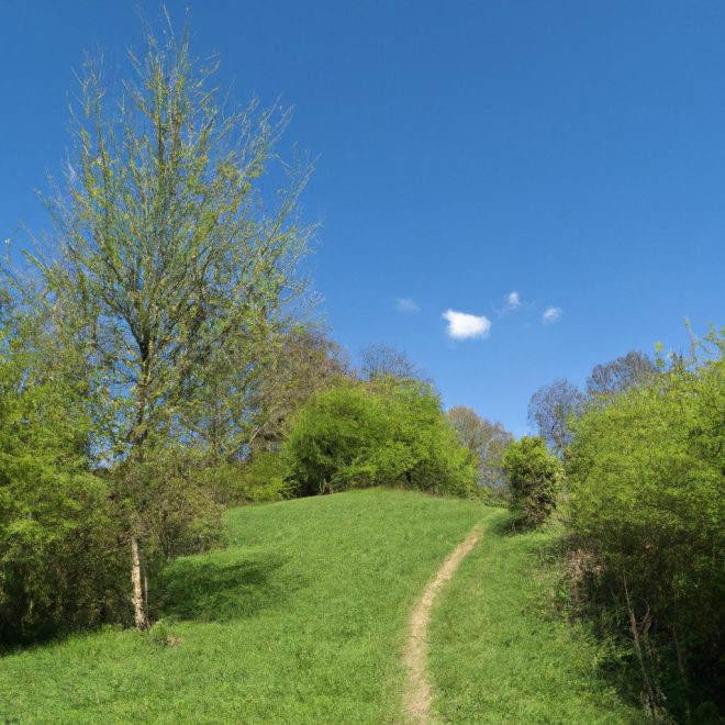 Nature’s Cure: How Outdoor Activities Boost Mental Well-Being