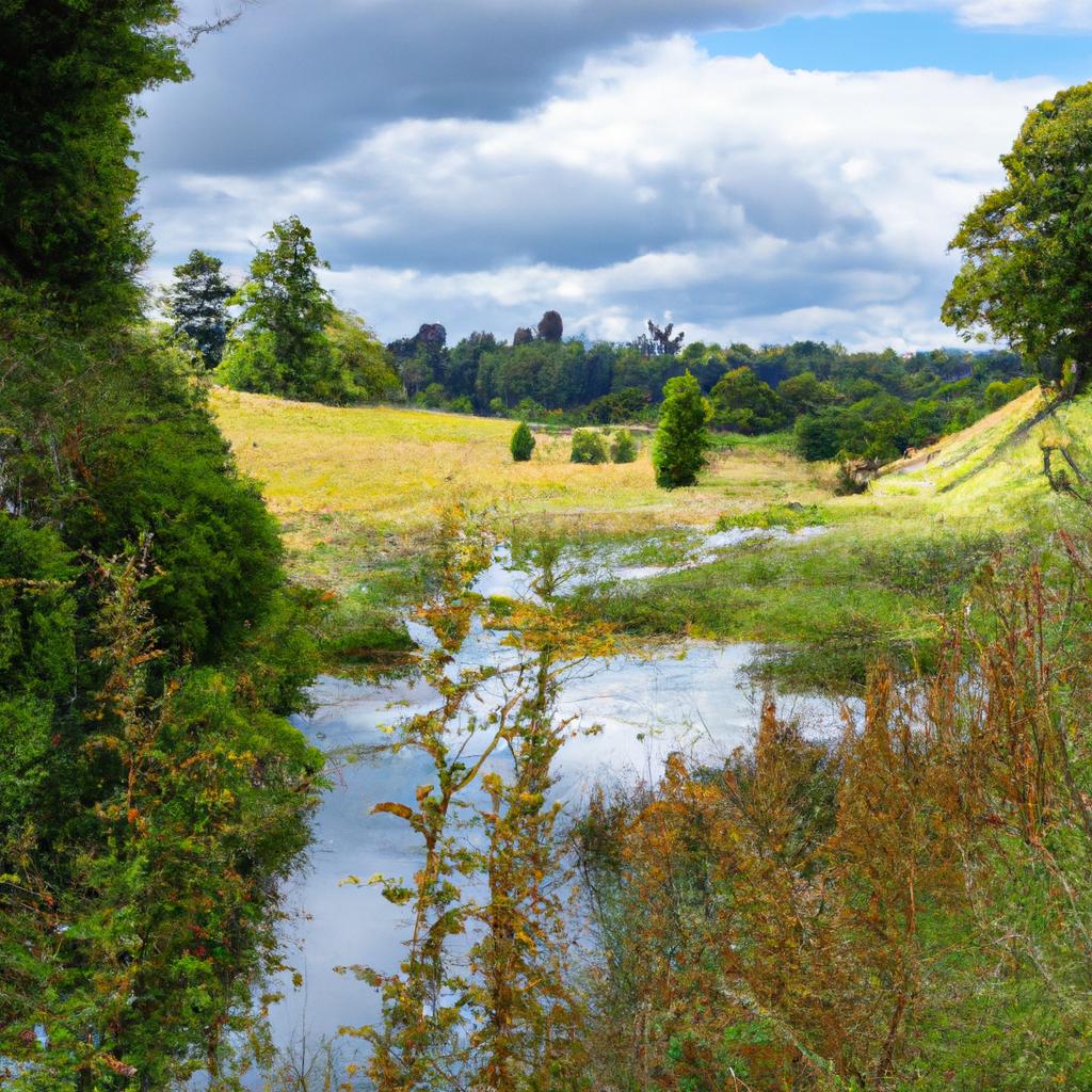 Practical Pathways: Recommended Outdoor Activities for Improved Mental‍ Health