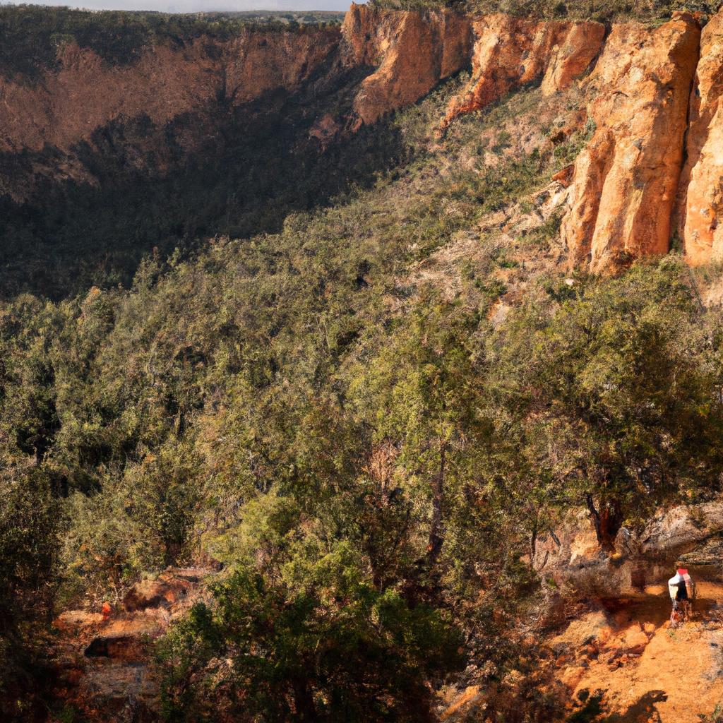 Cultivating Clarity: How Outdoor Adventures​ Enhance Cognitive Function and ⁢Reduce Stress