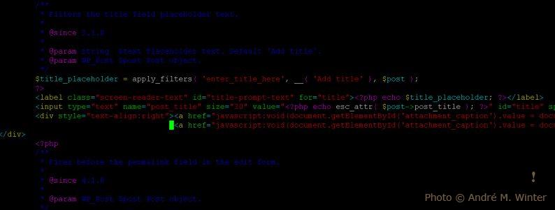 Exploring the World: How Frequent Travel Sparks an Active Lifestyle Journey