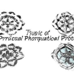 The Transformative Power of Cultural Immersion in Travel