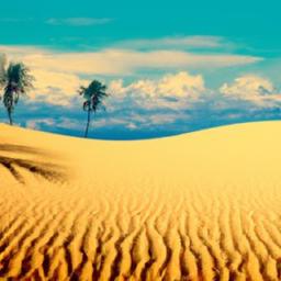 Unleashing Curiosity Through Travel Experiences