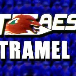 The thrill of the Game:⁢ Experiencing Emotion through Spectatorship