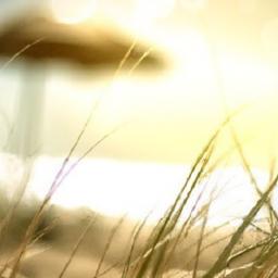 the Sunlit ⁣Path to vitality: Understanding Vitamin D and it's Benefits